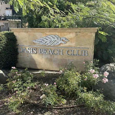Oasis Club - 
